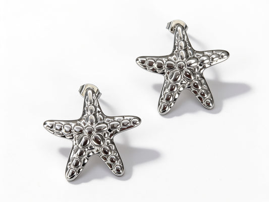 Boucles d'oreilles Étoile Argent