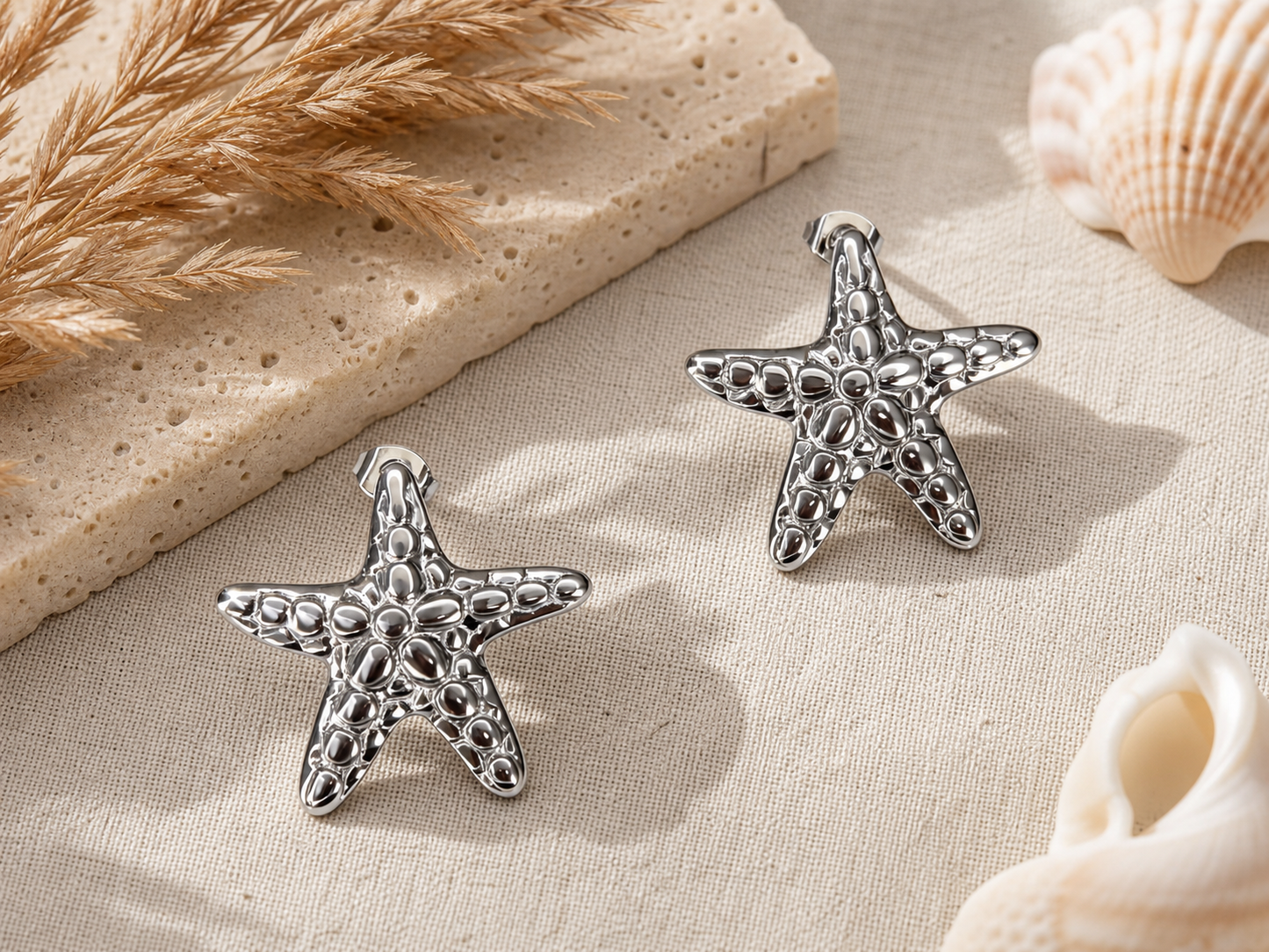 Boucles d'oreilles Étoile Argent